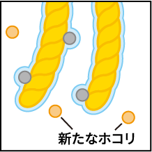 ホコリを取り込むしくみ1：新たなホコリ